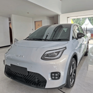 Display aion Radin inten 1